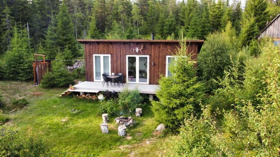 Cozy Forest Cabin With Amazing Mountain View Торсби Екстериор снимка