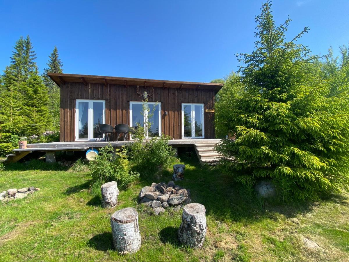 Cozy Forest Cabin With Amazing Mountain View Торсби Екстериор снимка