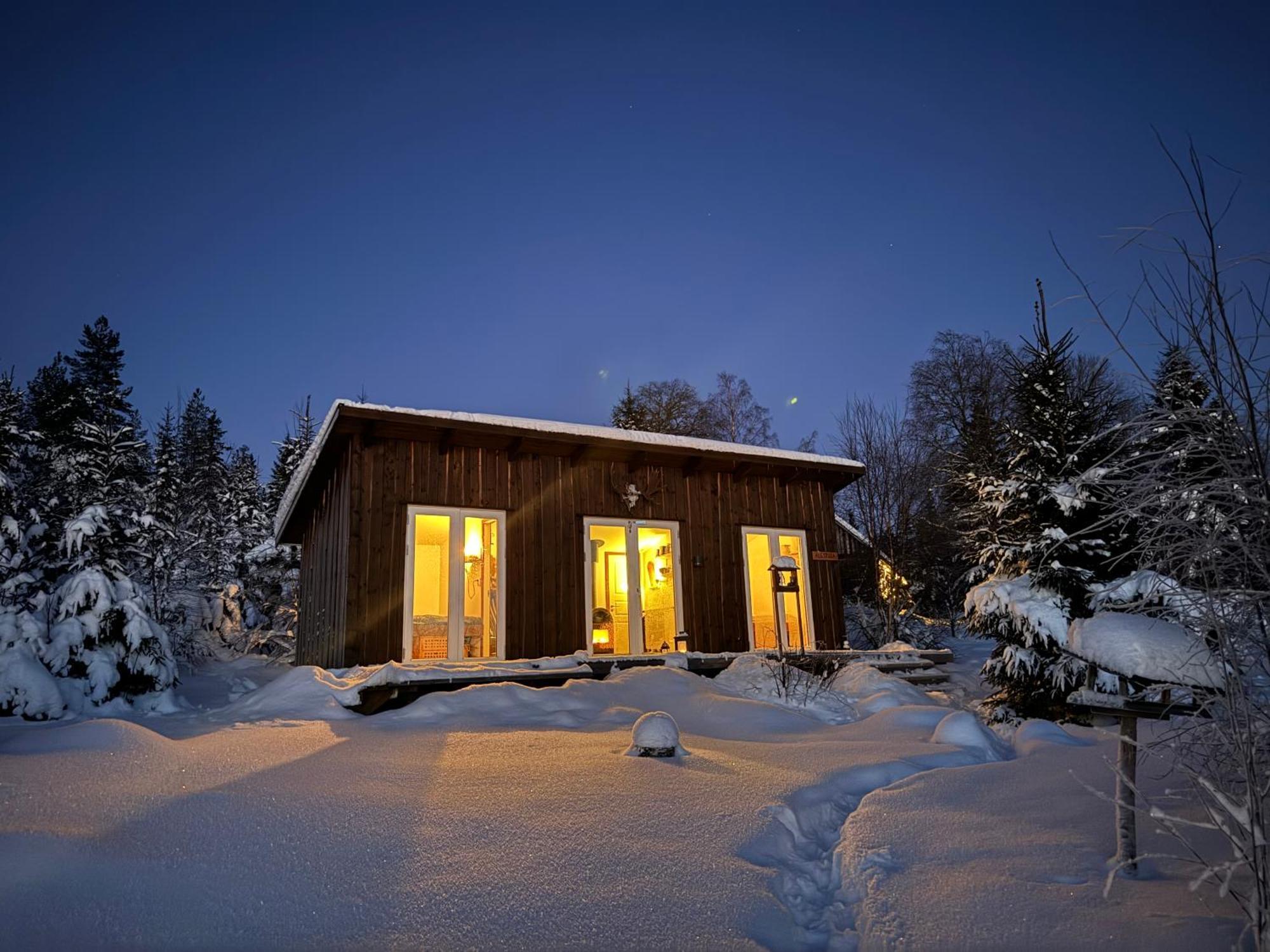 Cozy Forest Cabin With Amazing Mountain View Торсби Екстериор снимка